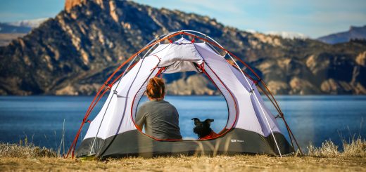 Camping with Dog